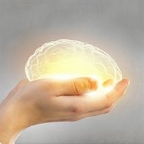 Beyin ve Sinir Cerrahisi (Nöroşirurji)